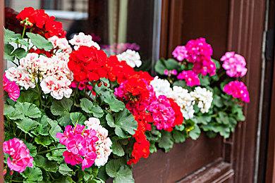 《云·星穹铁道》网页版测试招募开启 计费不删档